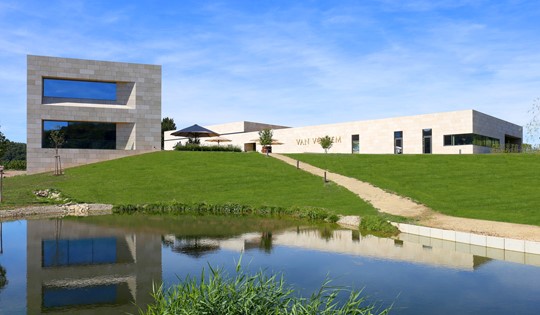 VAN VOLXEM WEINGUT / ALMANYA